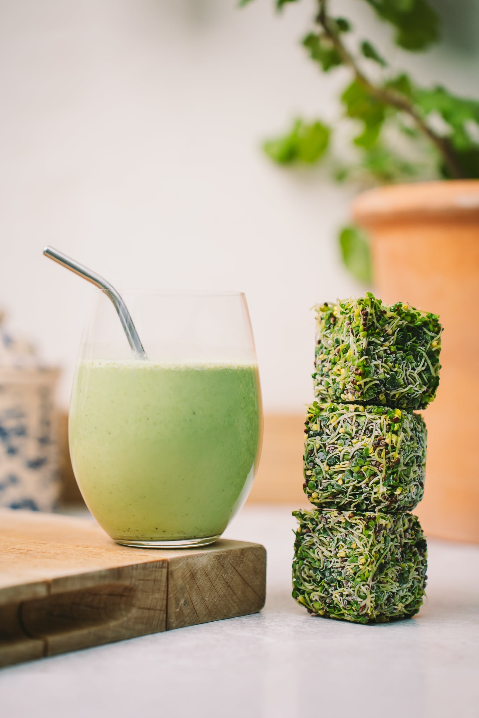 Blend it Like BROCBLOK!