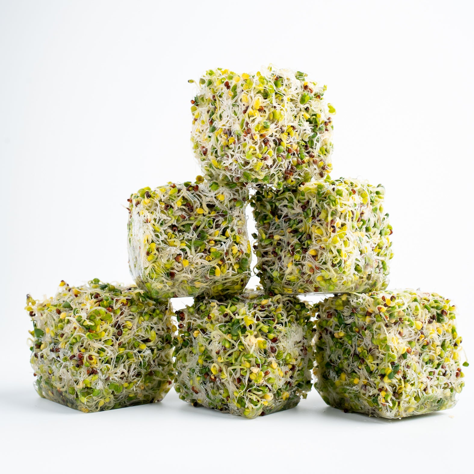 20 x BROCBLOK Original