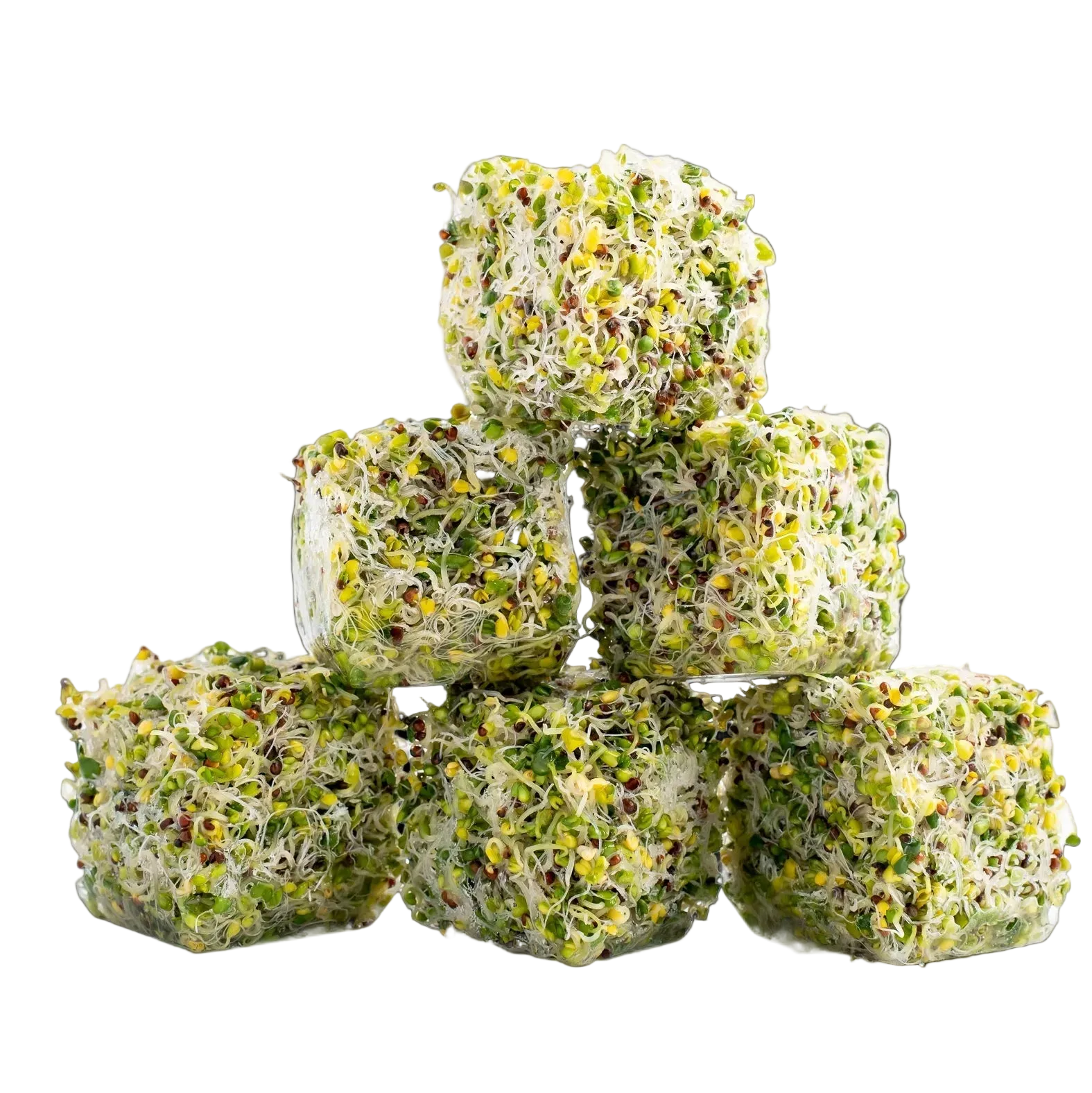 20 x BROCBLOK Original