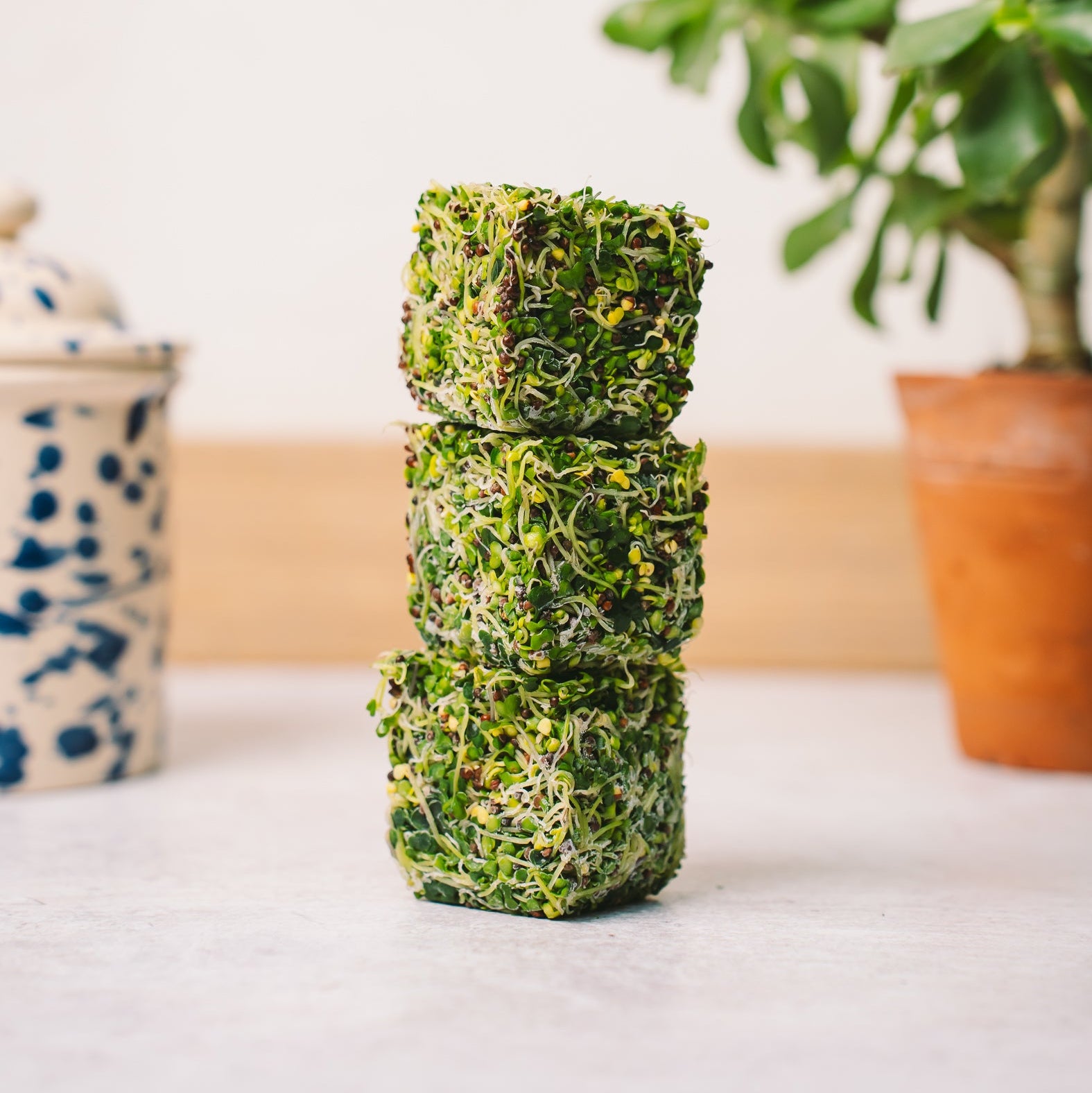 Stack of green food blocks on a white surface with a plant in the background