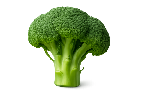 a single broccoli floret with transparent background