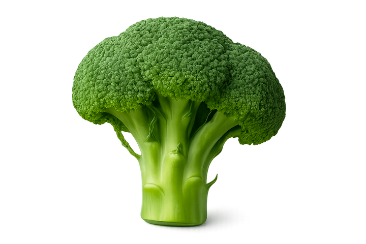 a single broccoli floret with transparent background